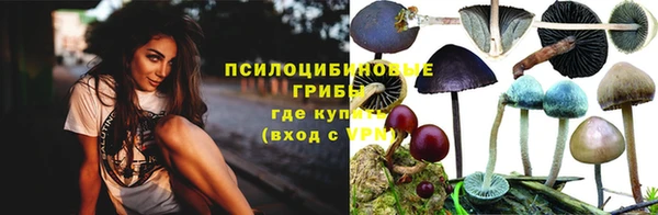 крисы Алексин