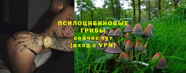 дживик Аркадак