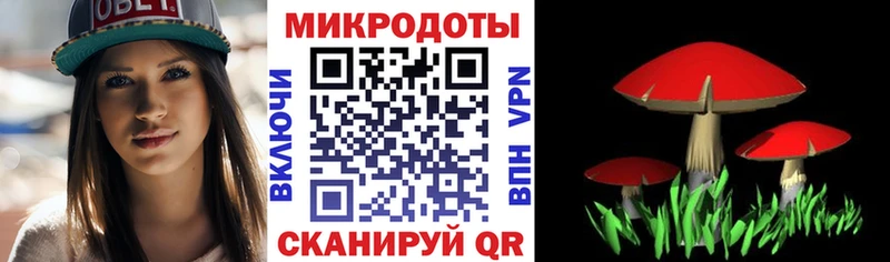 дарнет шоп Рудня Псилоцибиновые грибы GOLDEN TEACHER